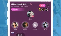 吃瓜聊天语音软件下载免费,免费下载“吃瓜聊天”语音软件，开启趣味社交新体验