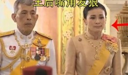 泰王最新爆料,王室秘闻与权力斗争背后的惊人真相